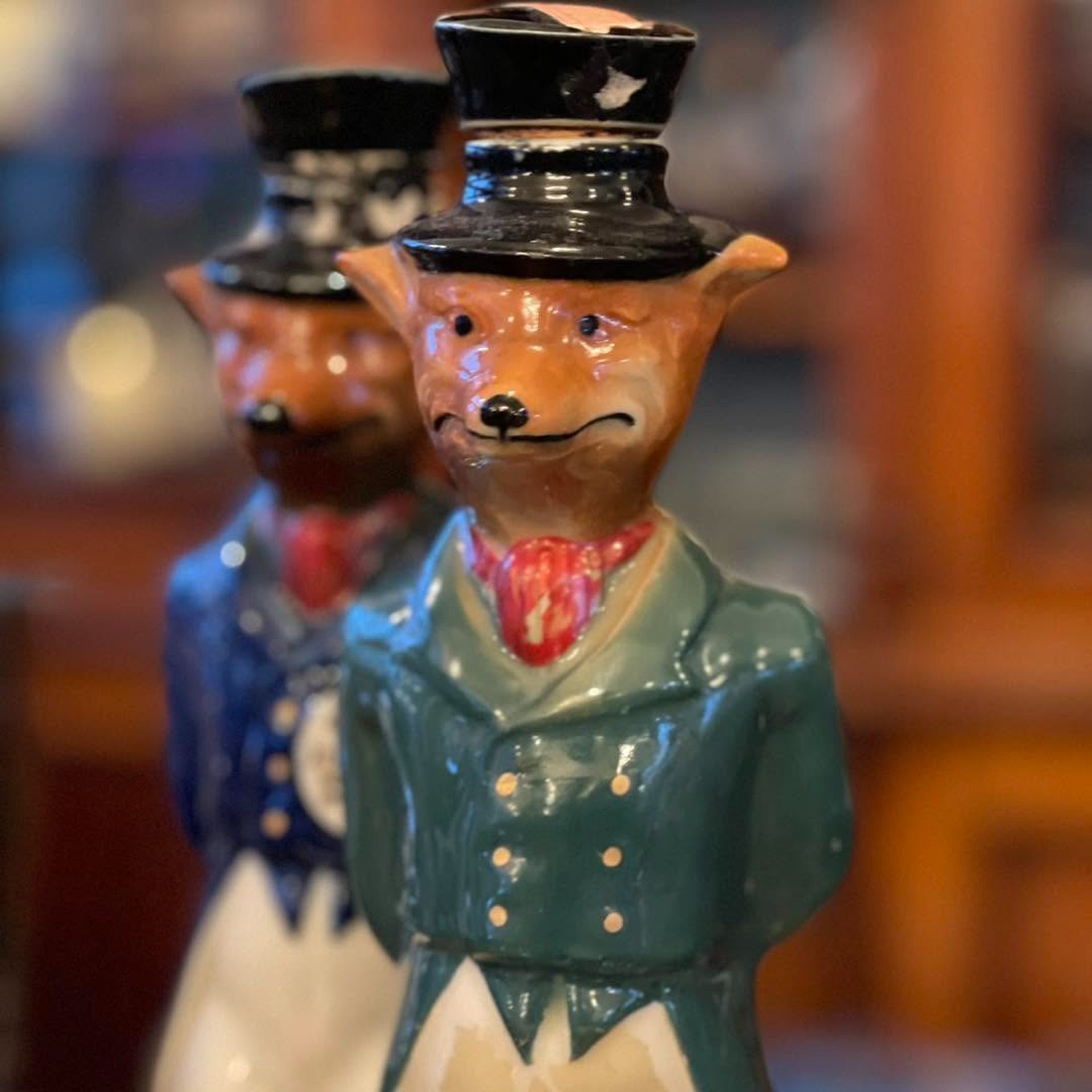 The Fox in focus